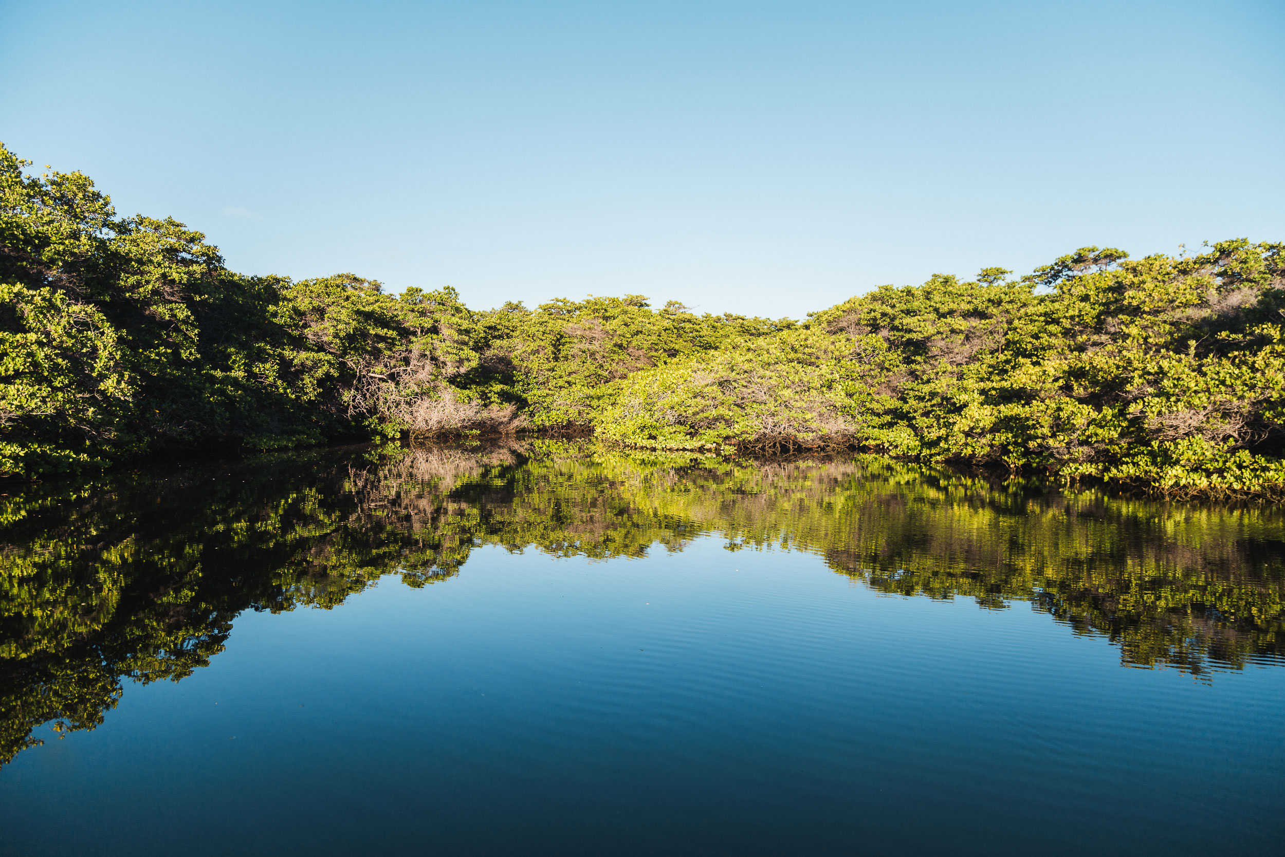 Isla Baltra, Galápagos