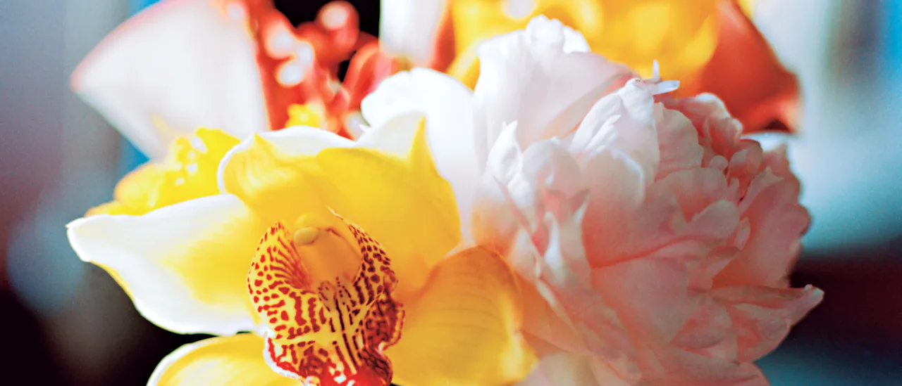 Salones, bares y restaurantes decorados con flores frescas