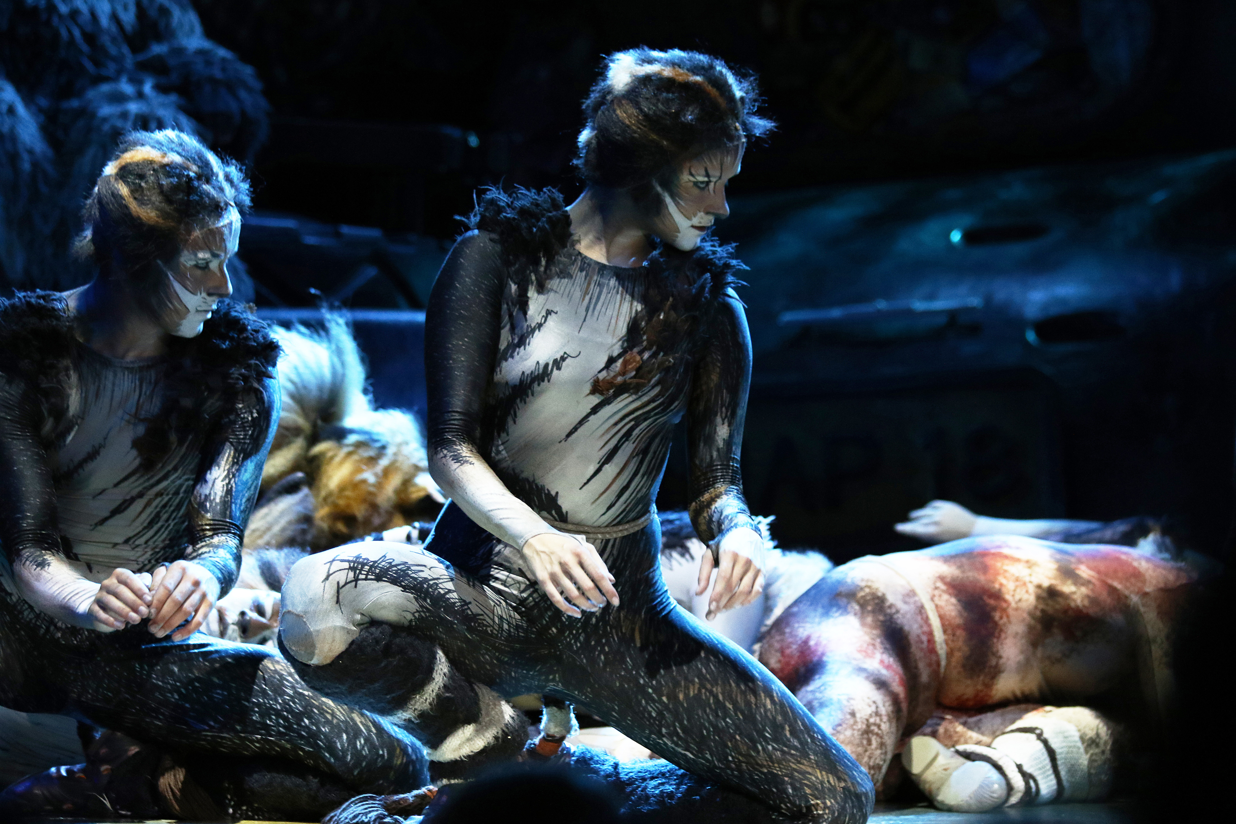 Disfruta de una espectacular representación de Cats de 90 minutos, sin escatimar en gastos