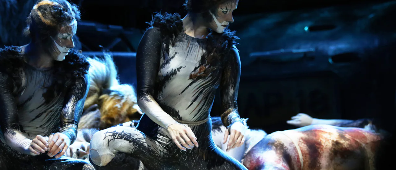 Disfruta de una espectacular representación de Cats de 90 minutos, sin escatimar en gastos