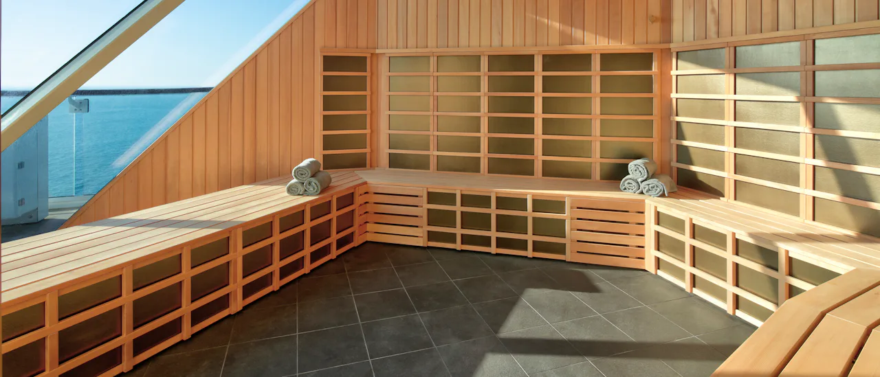 Tomar una sauna con una vista