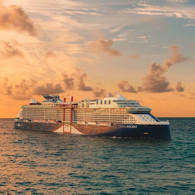 Crucero Celebrity para solteros