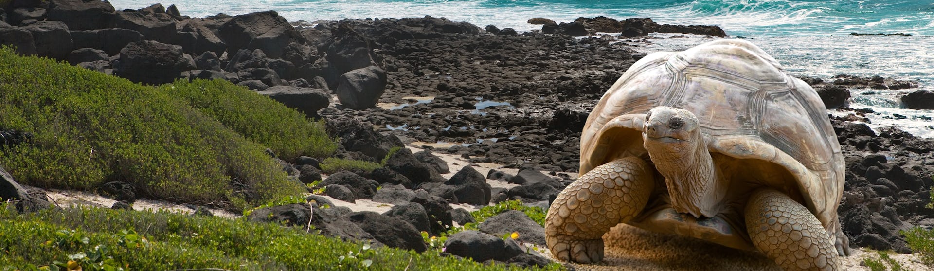 Ofertas de cruceros por las islas Mauricio