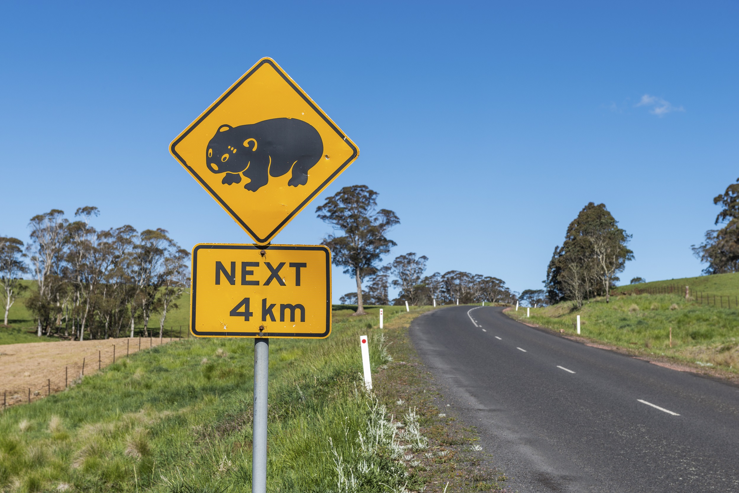 Ofertas de cruceros por Nueva Zelanda