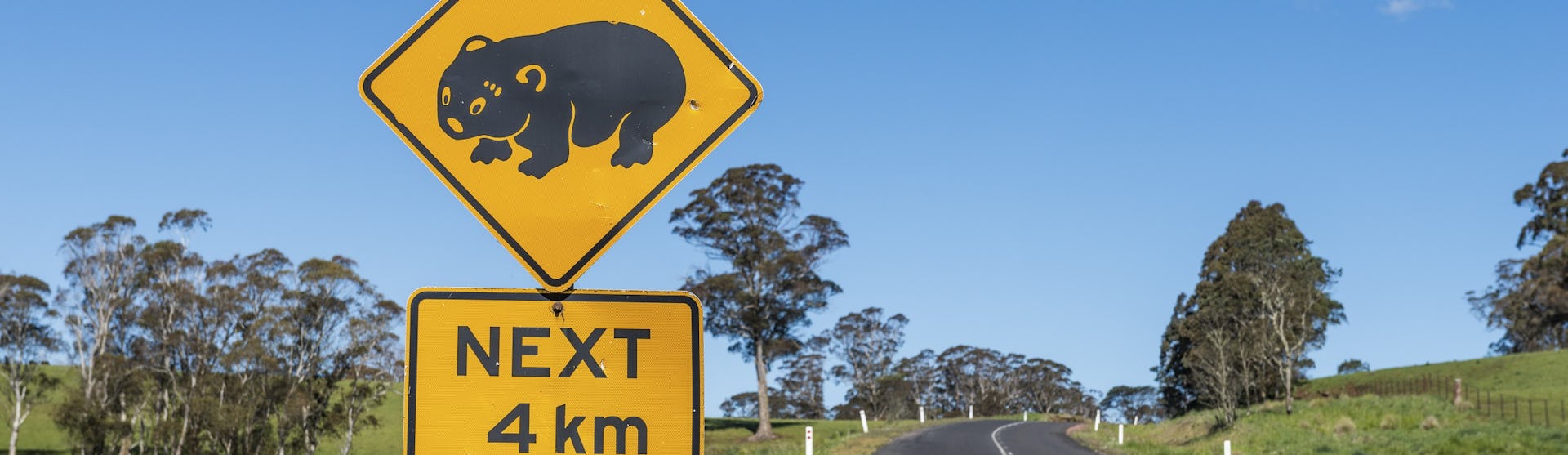 Ofertas de cruceros por Nueva Zelanda