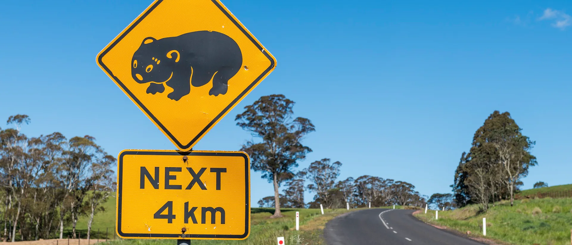 Ofertas de cruceros por Nueva Zelanda