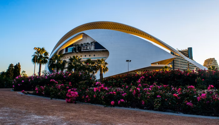 Cruceros desde el Puerto de Valencia