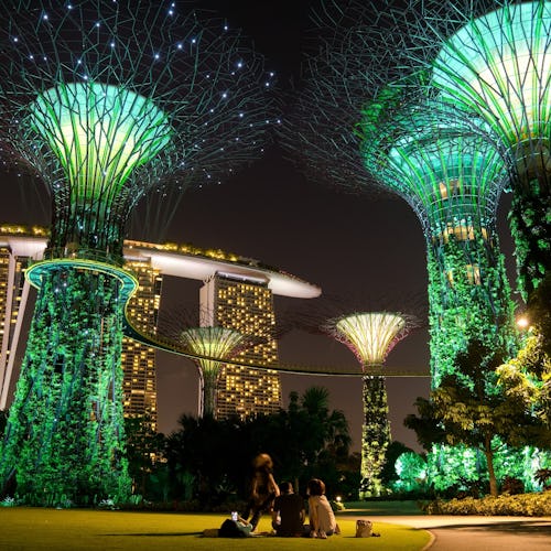 Cruceros por Singapur