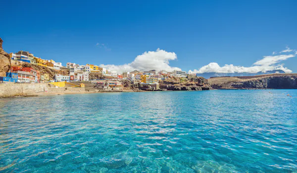 Sardina del norte gran Canaria