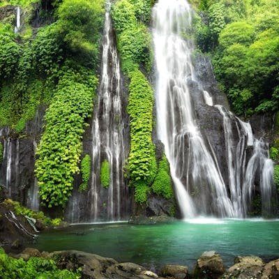 Paisajes selváticos Indonesia