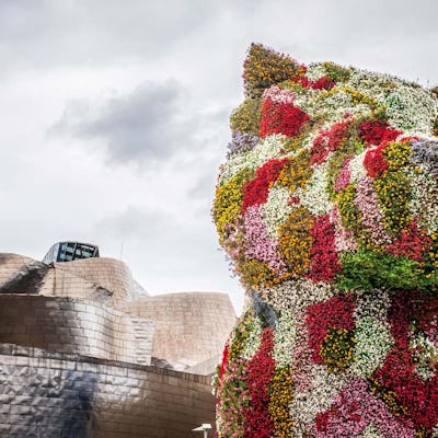 El perrito de Bilbao