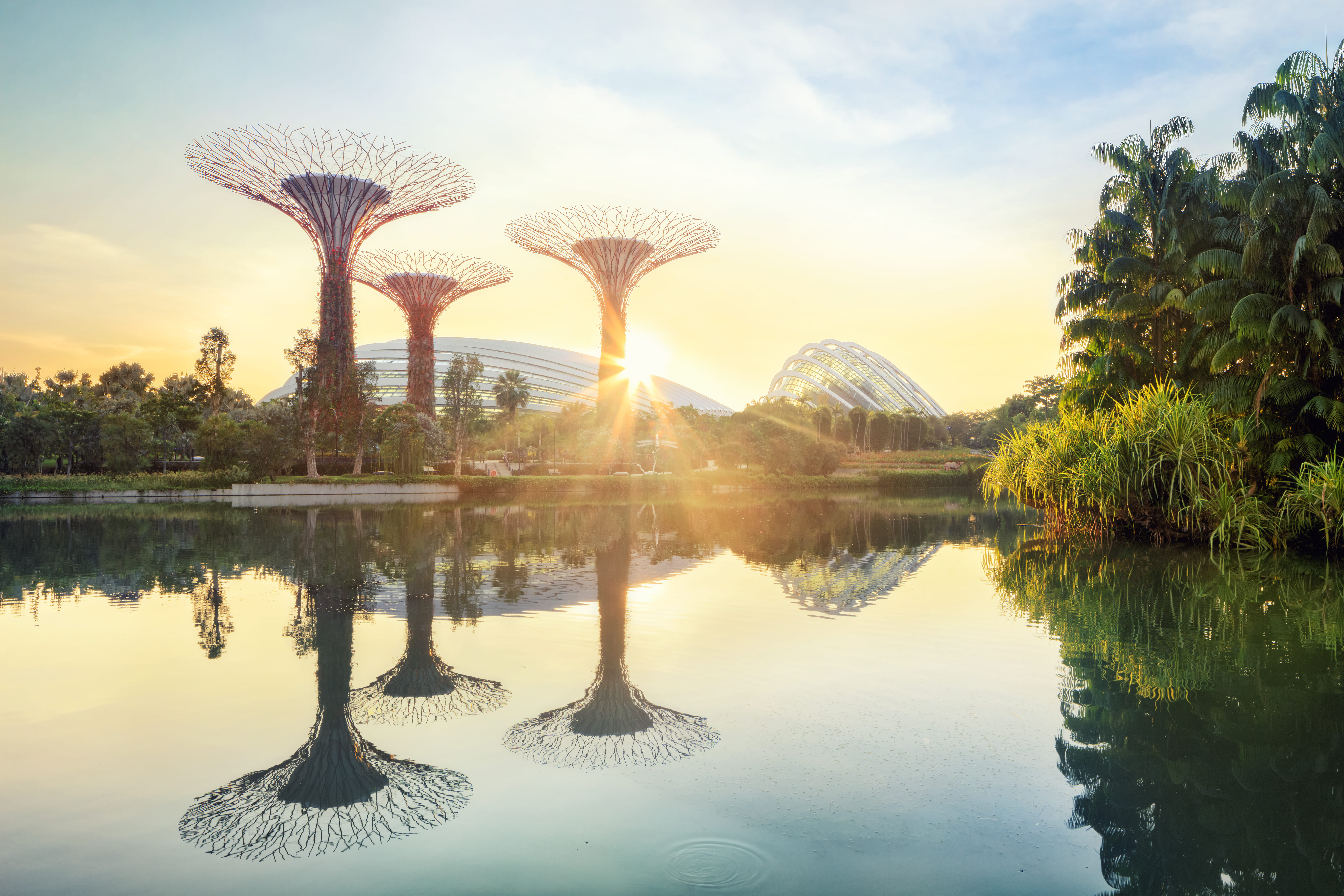 Los 18 Supertrees de Singapur