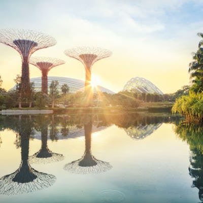 Los 18 Supertrees de Singapur