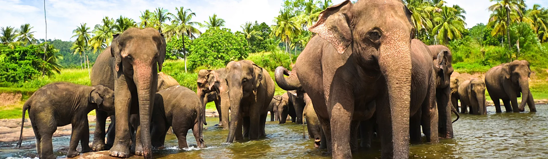 Ofertas de cruceros por Sri Lanka
