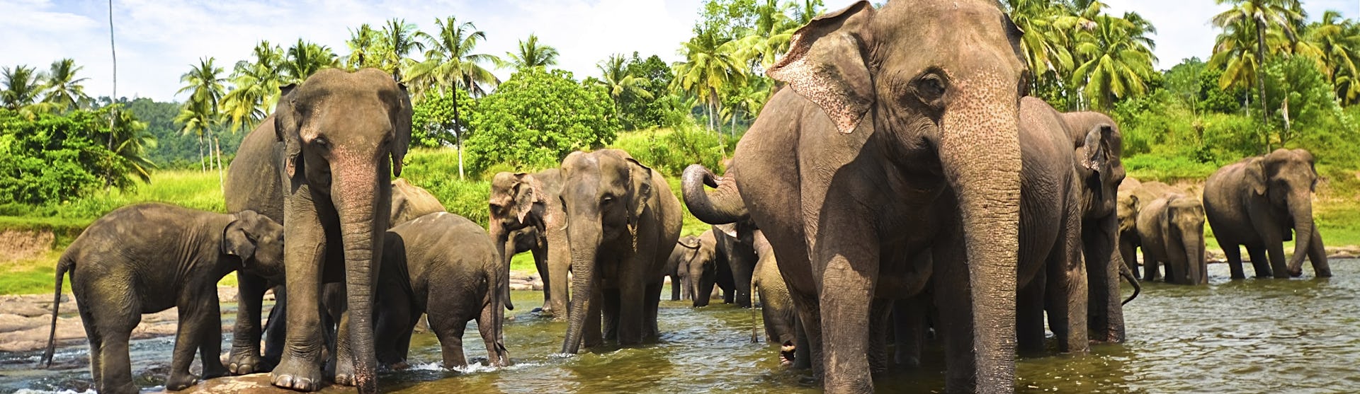 Ofertas de cruceros por Sri Lanka