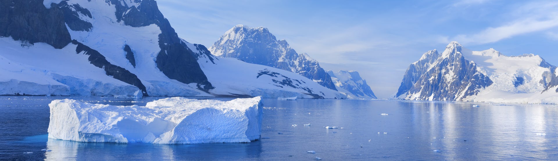 Ofertas de cruceros por la Antártida