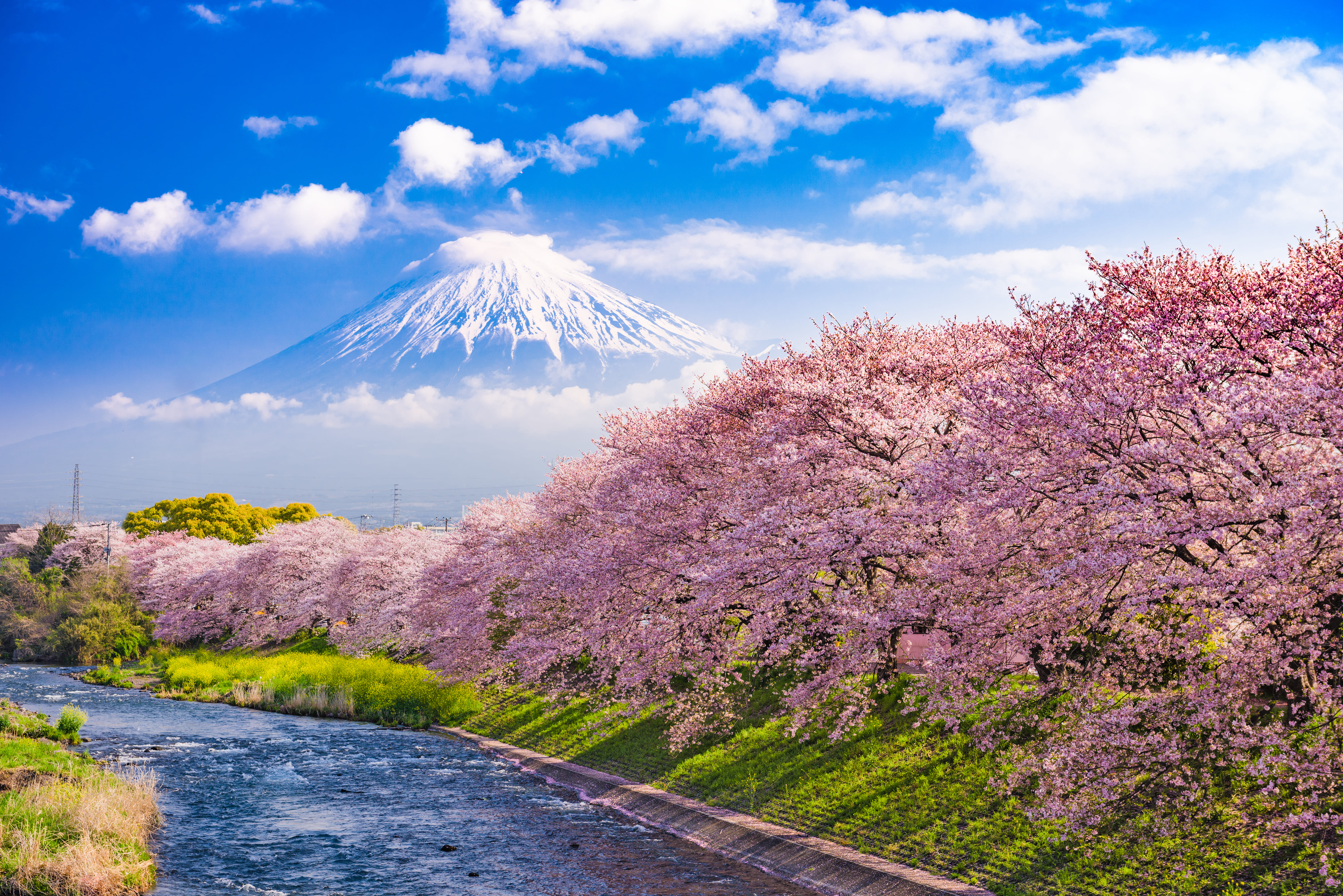 Monte Fuji en Japón