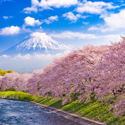 Monte Fuji en Japón
