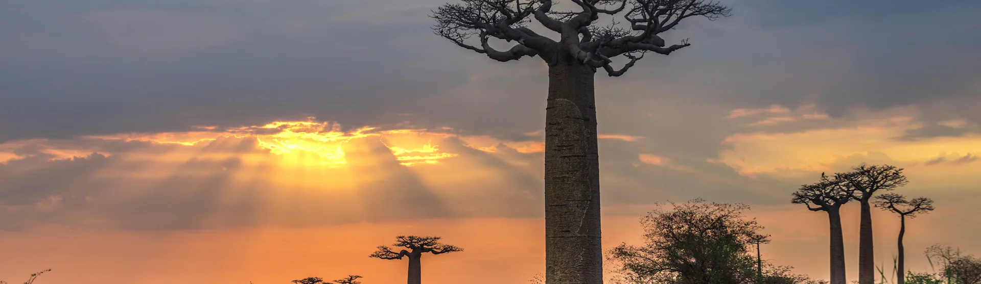 Ofertas de cruceros por Madagascar