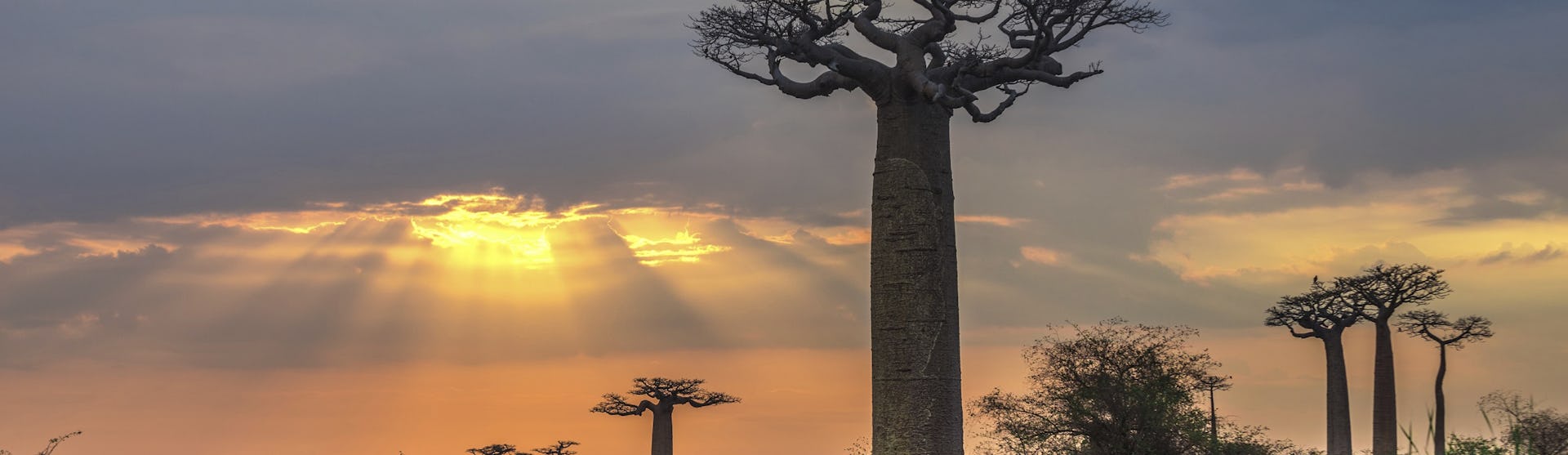 Ofertas de cruceros por Madagascar