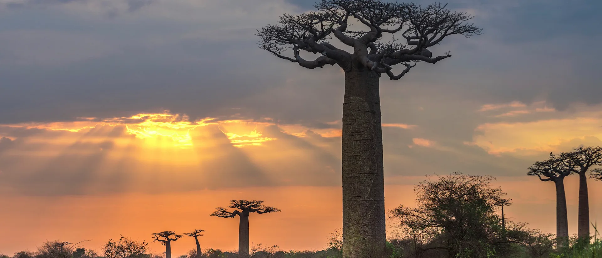 Ofertas de cruceros por Madagascar