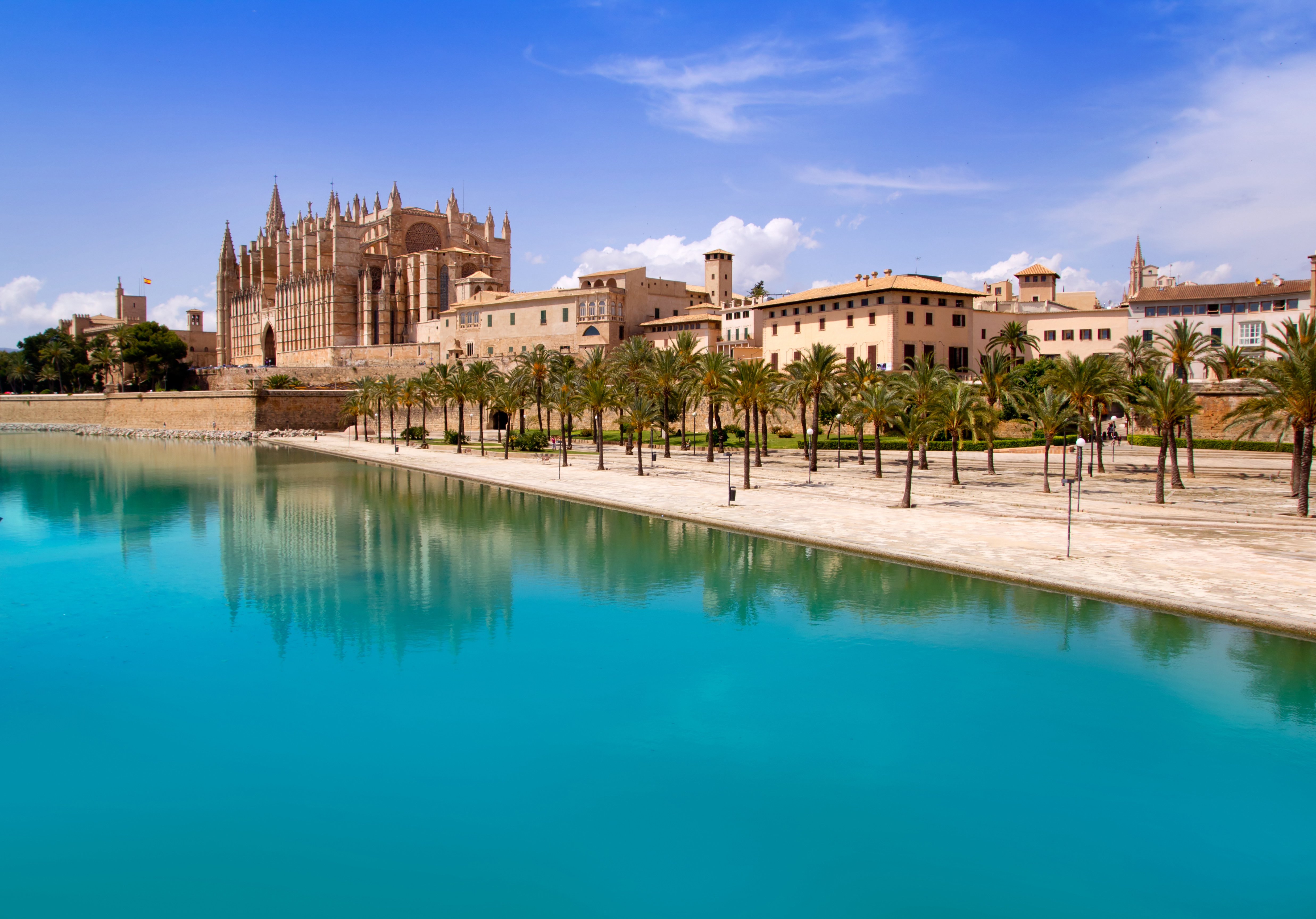 Catedral basílica de Mallorca