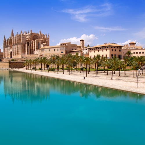 Catedral basílica de Mallorca